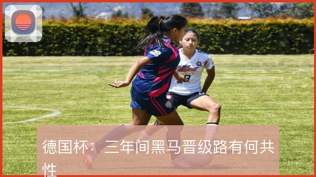 德国杯：三年间黑马晋级路有何共性